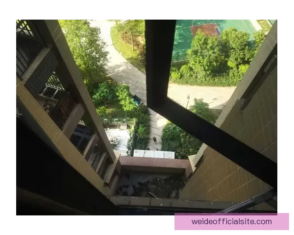 南安普顿最新动态：城市发展与社会事件全景速览